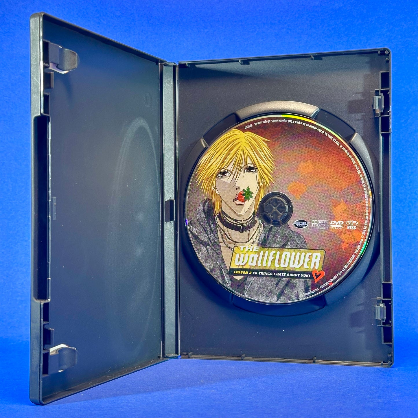 The Wallflower - DVD