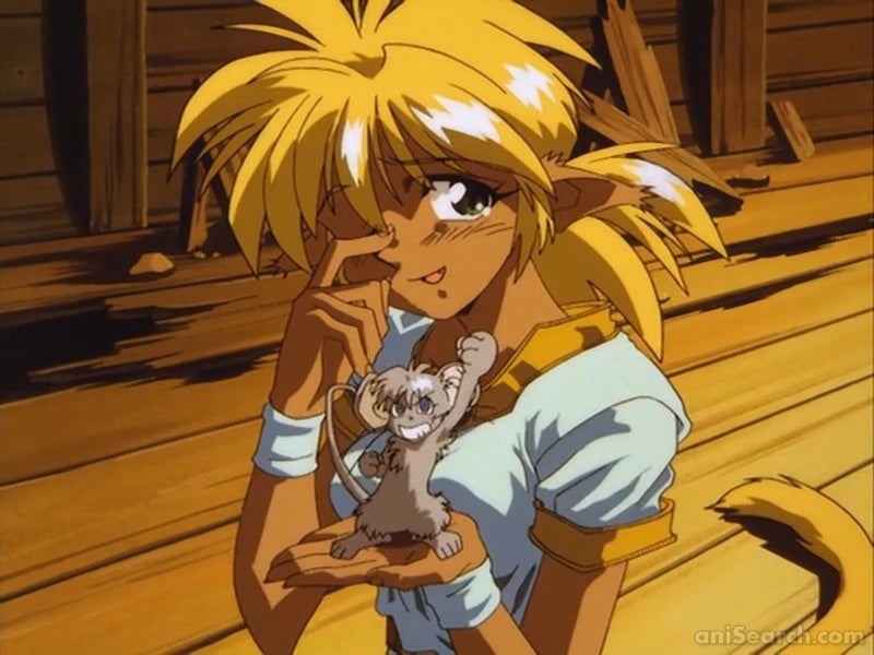 Ruin Explorers: Quest for the Ultimate Power DVD