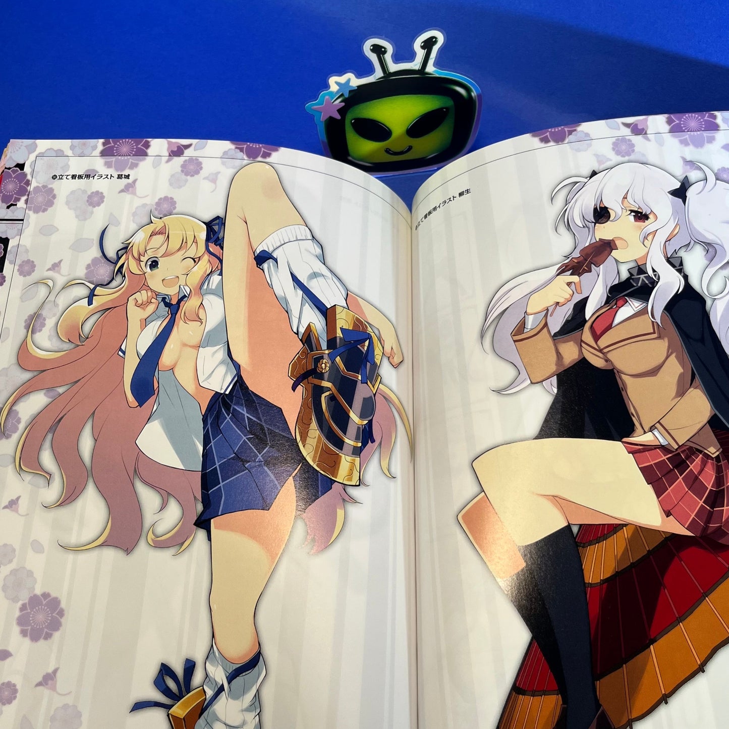 Senran Kagura: Girls of the Shadow Perfect Guide Book