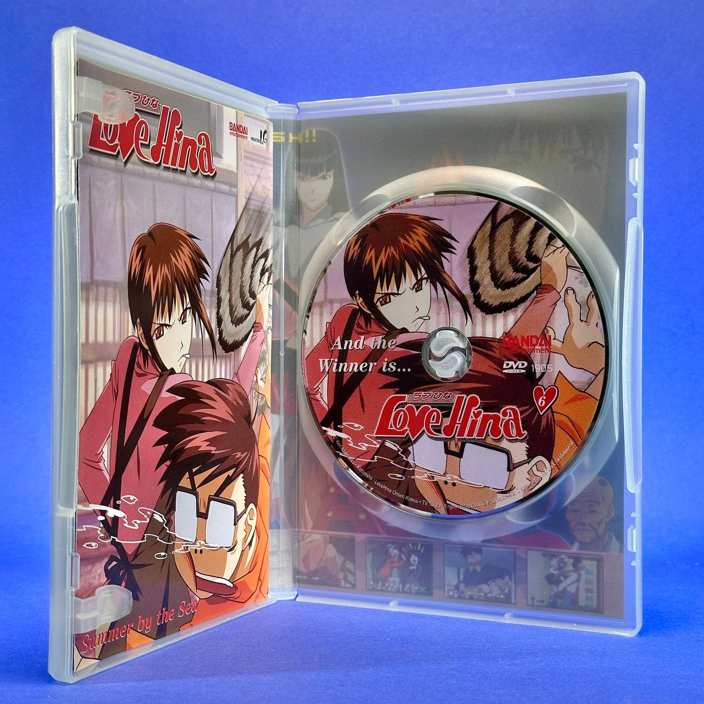 Love Hina ~TV Series~ DVD