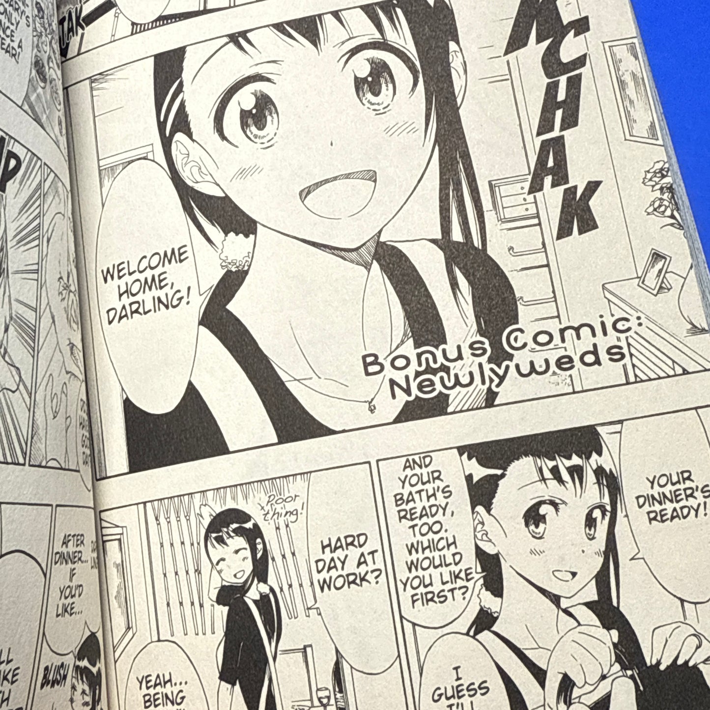 Naoshi Komi - Nisekoi: False Love Manga