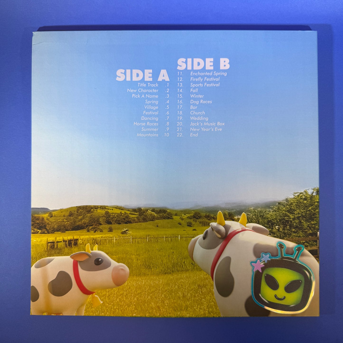 HM 64 Vinyl Record