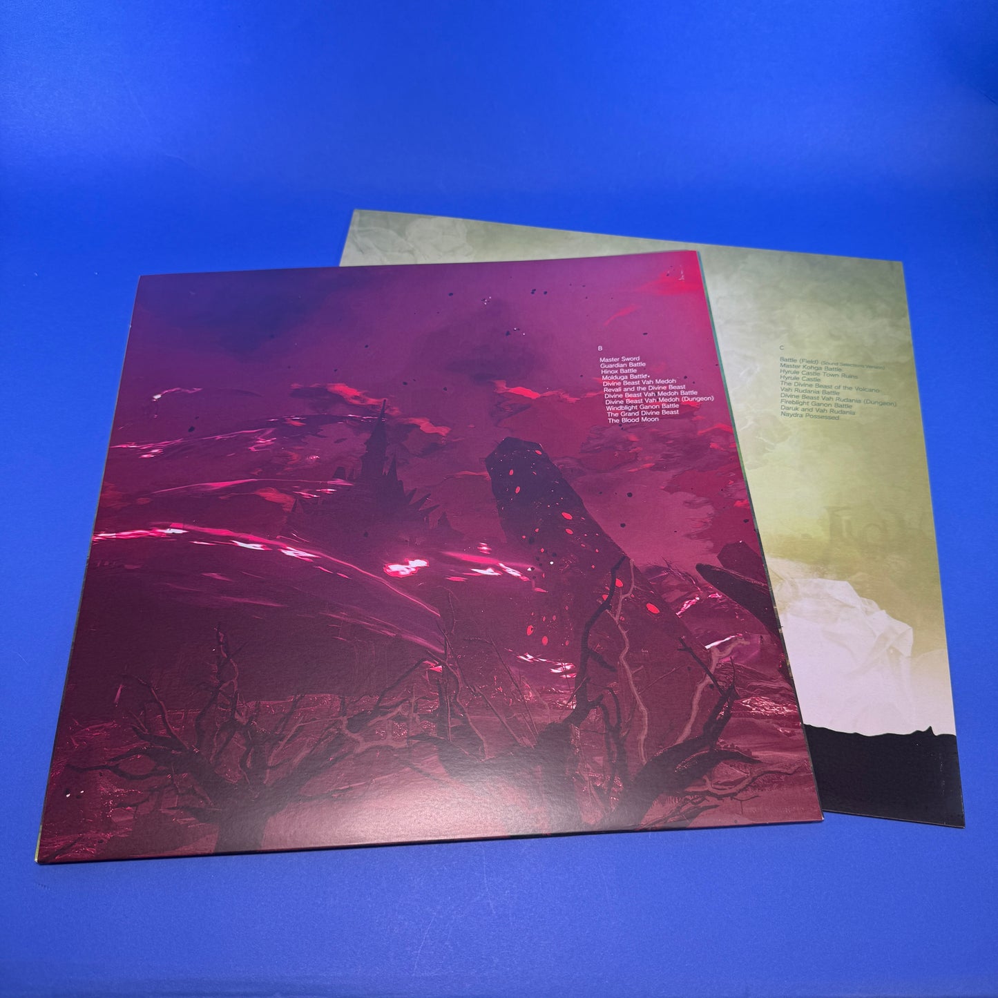 Legend of Zelda - BOTW Vinyl Record Collection