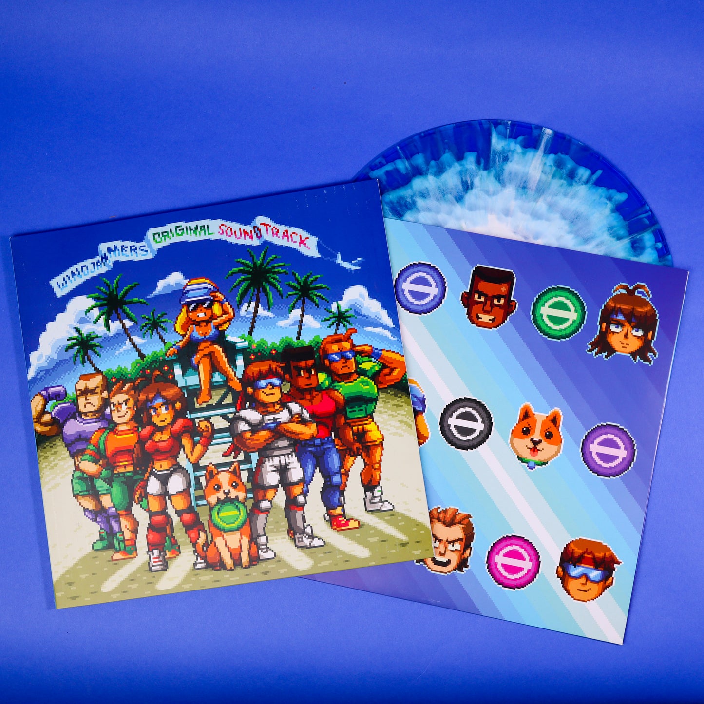 Windjammers Vinyl Record