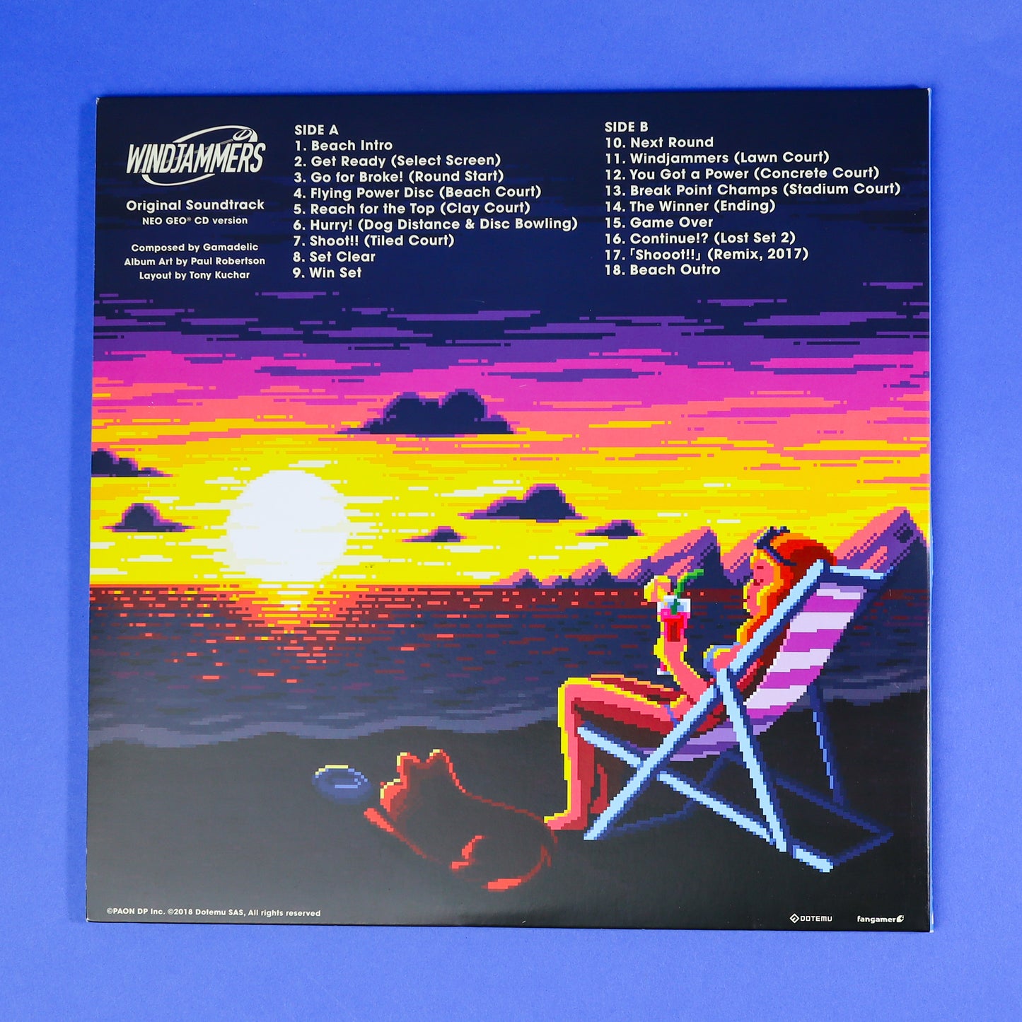 Windjammers Vinyl Record
