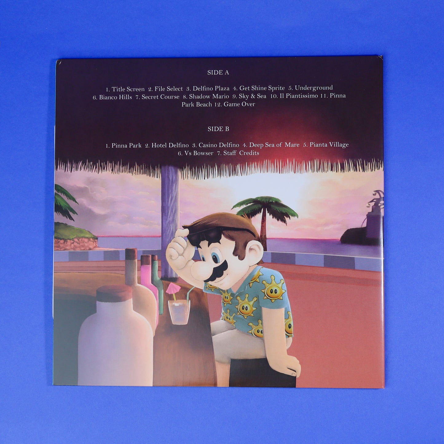 Mario Summer Holiday Vinyl Record