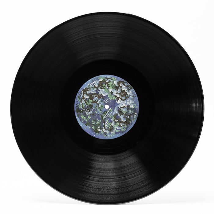 Gareth Coker - Ori and the Blind Forest Vinyl Record