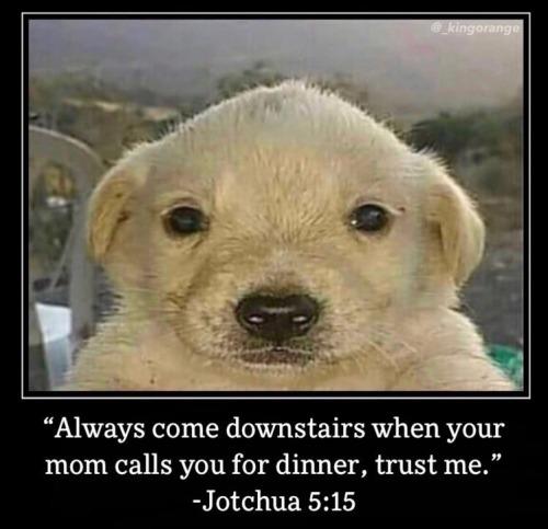 knife.knight - Jotchua Stickers