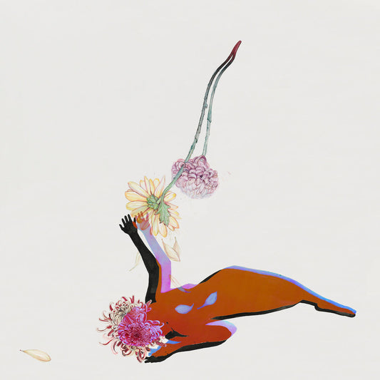Future Islands - The Far Field Vinyl Record