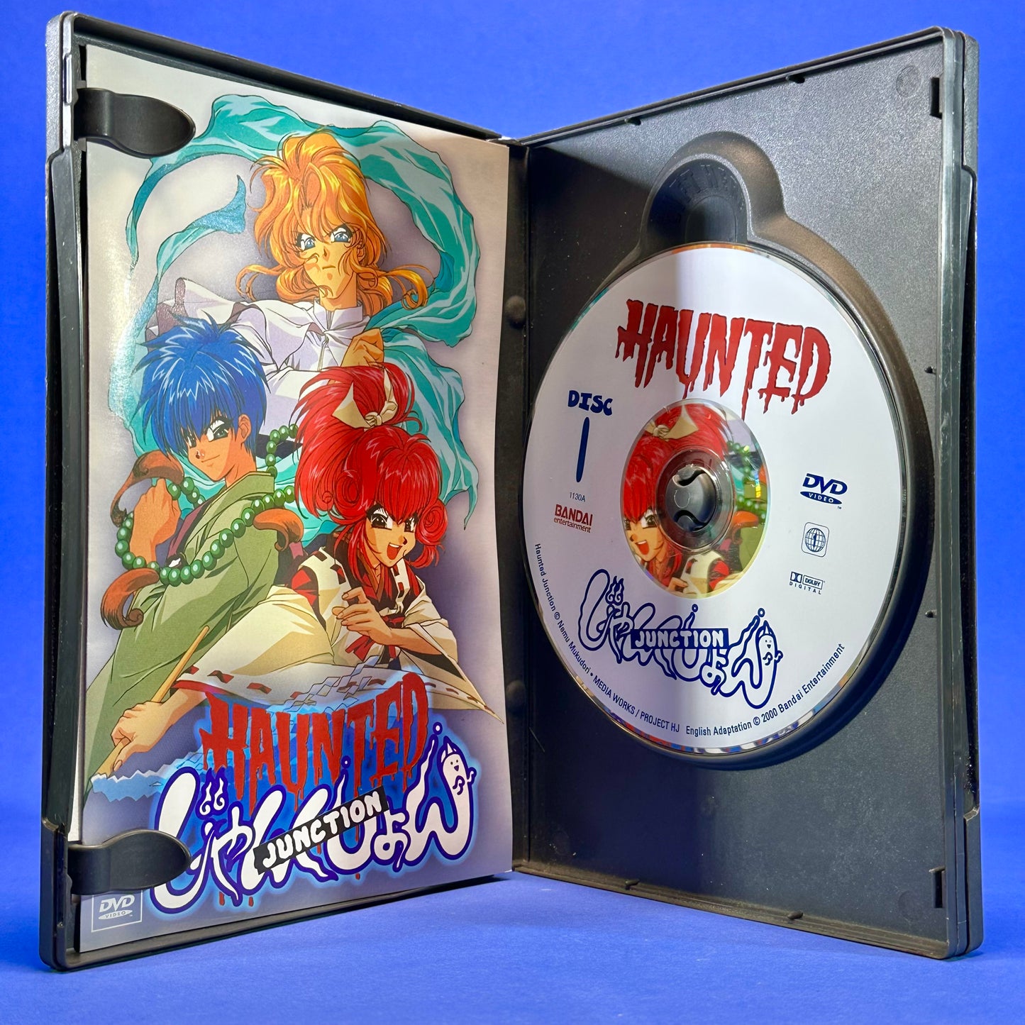 Haunted Junction DVD