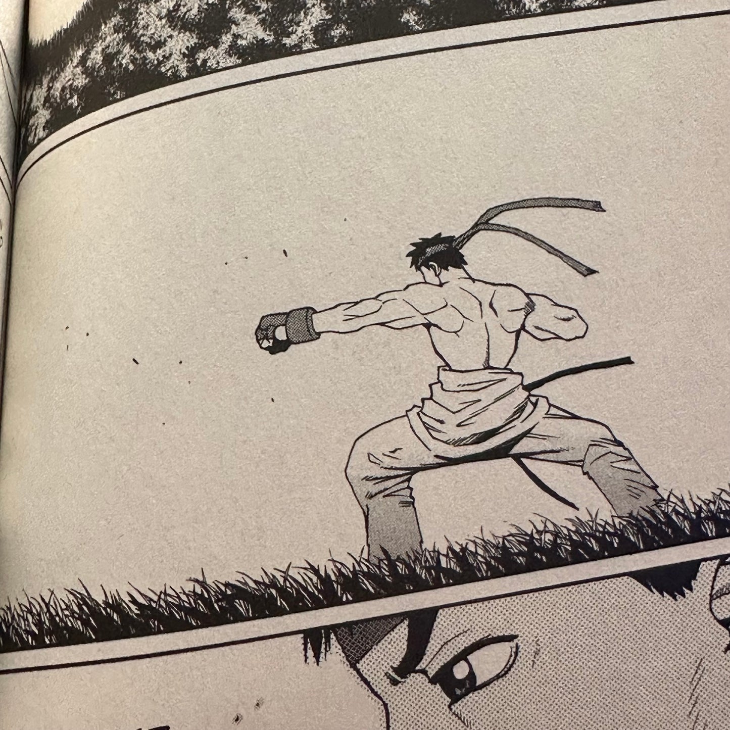 Masahiko Nakahira - Street Fighter III: Ryu Final Manga
