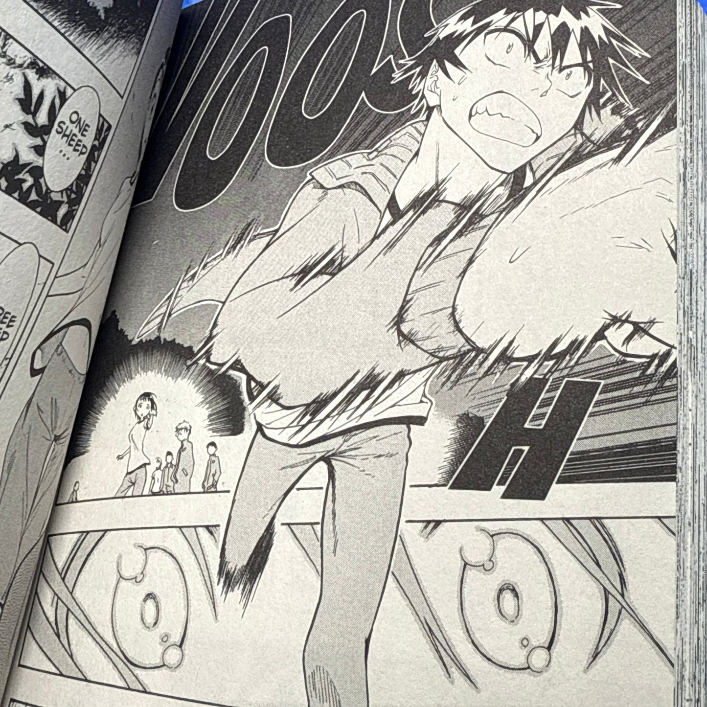 Naoshi Komi - Nisekoi: False Love Manga