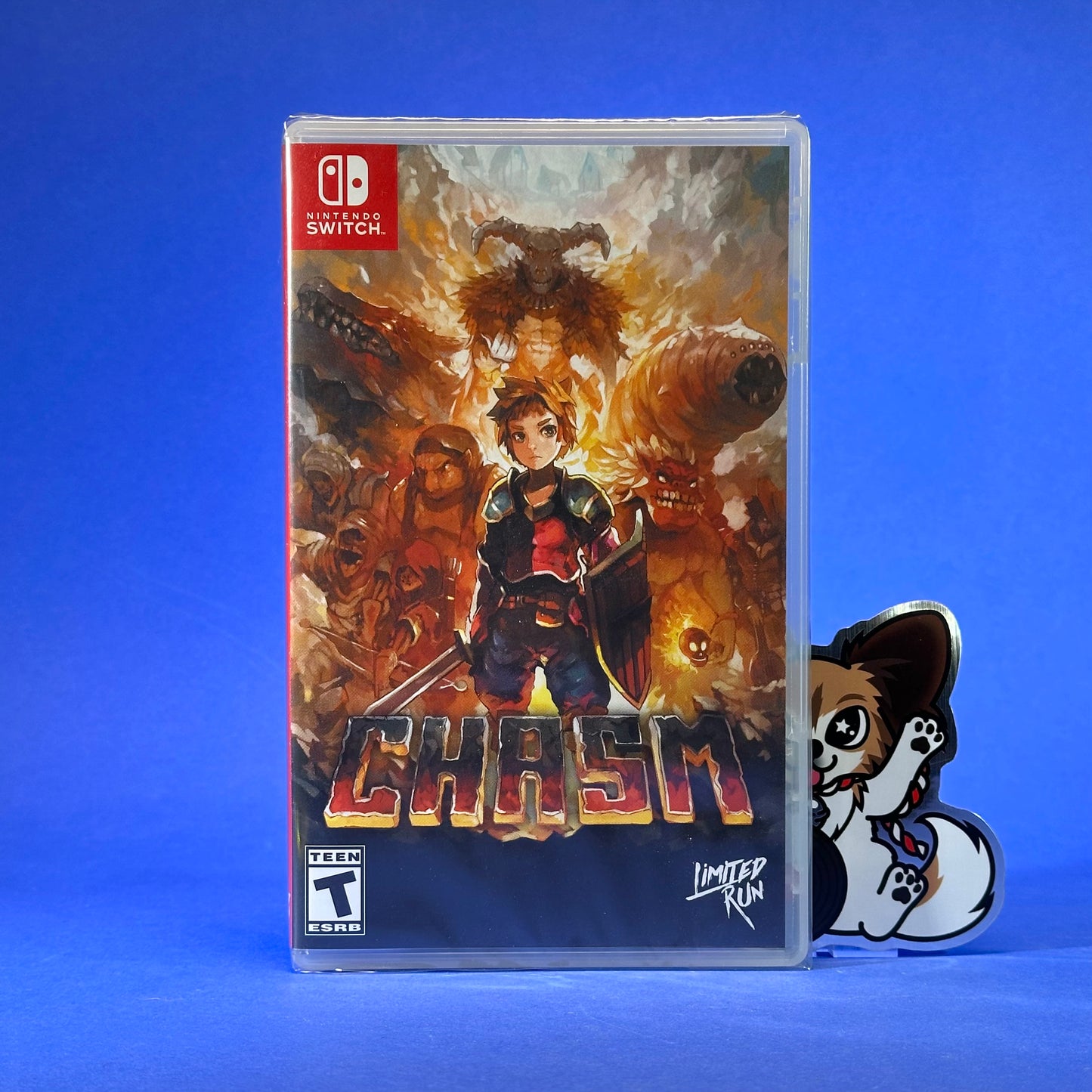 Chasm - Nintendo Switch