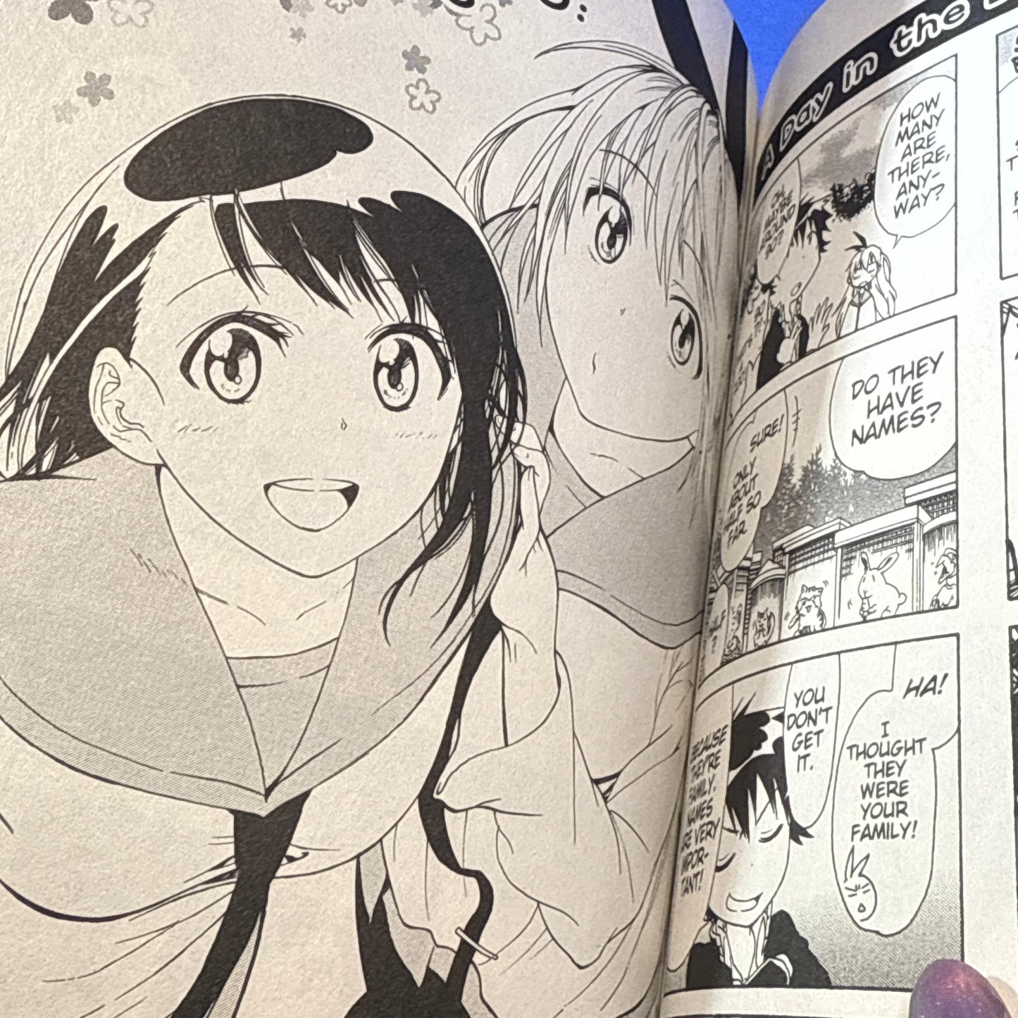 Naoshi Komi - Nisekoi: False Love Manga