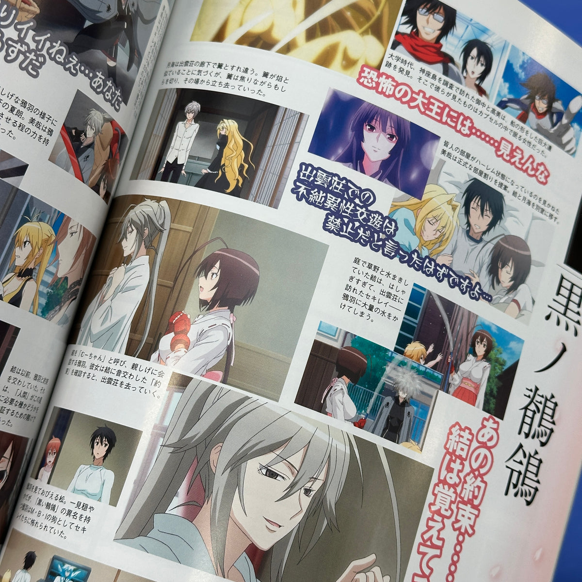 Sekirei TV Animation Official Fanbook: Allurement