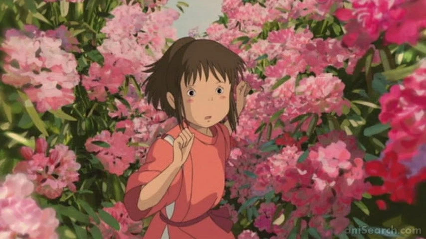 Spirited Away - Blu-ray & DVD