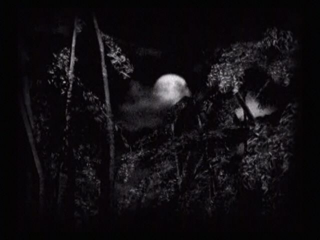Fatal Frame - Playstation 2