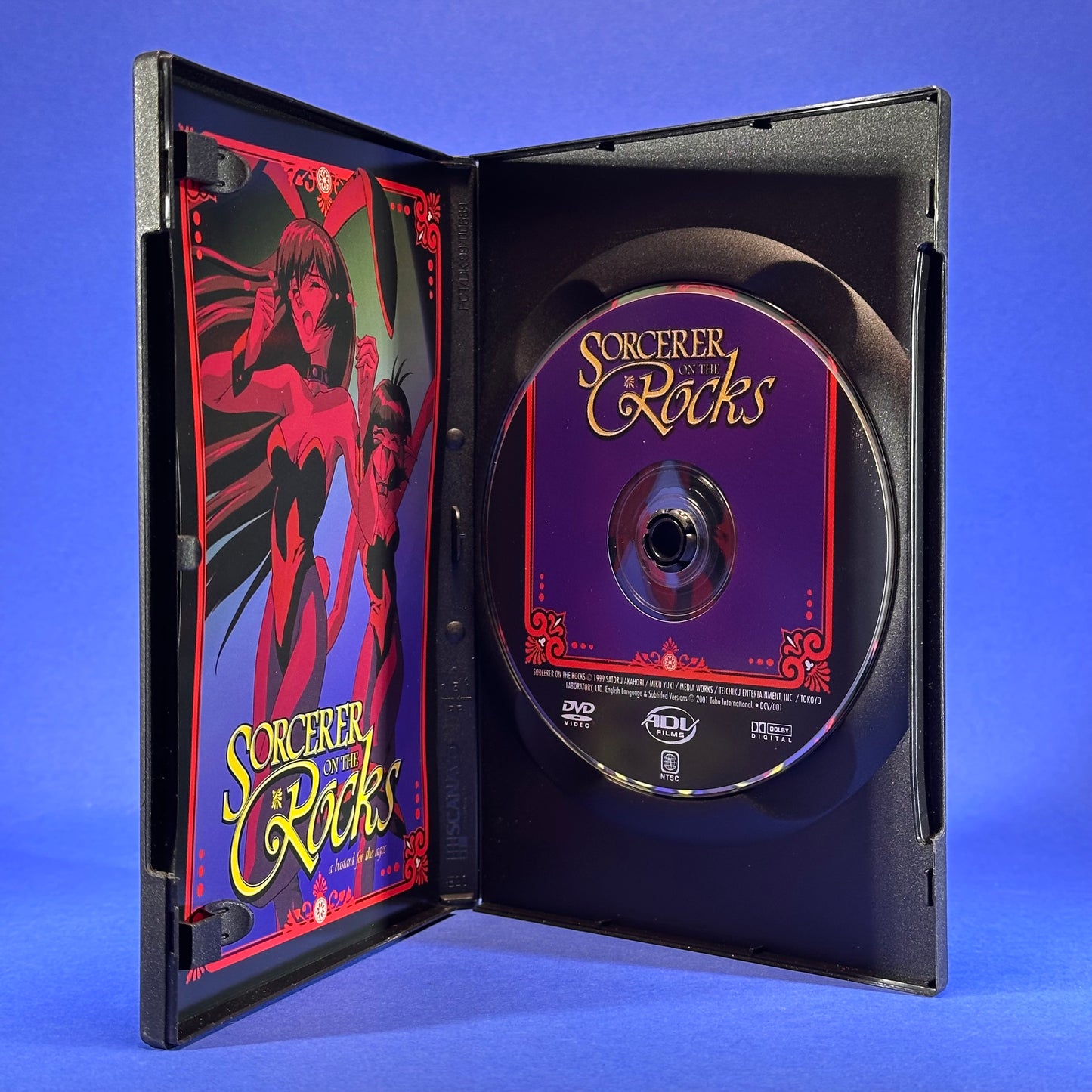 Sorcerer on the Rocks - DVD