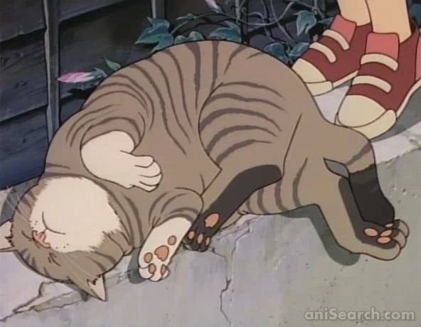 Catnapped! DVD