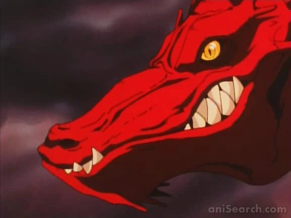 Record of Lodoss War: Chronicles of the Heroic Knight VHS