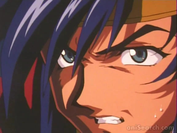 Record of Lodoss War: Chronicles of the Heroic Knight VHS