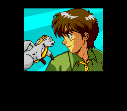 Lunar: The Silver Star - Sega CD