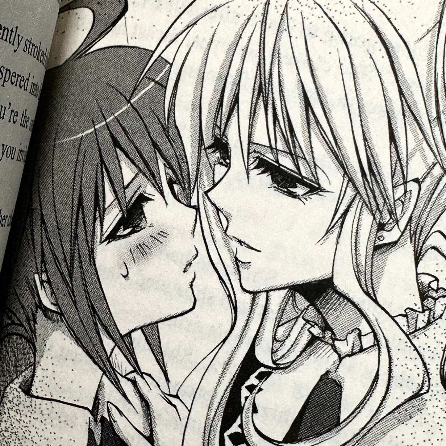 Sakurako Kimino - Strawberry Panic Light Novel