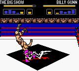 WWF WrestleMania 2000 - Game Boy Color