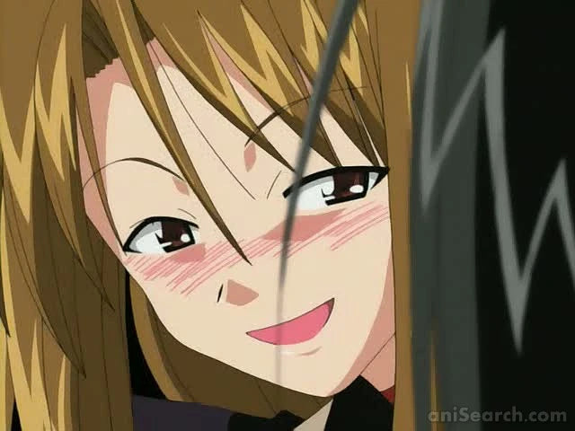 Love Hina ~Again~ DVD