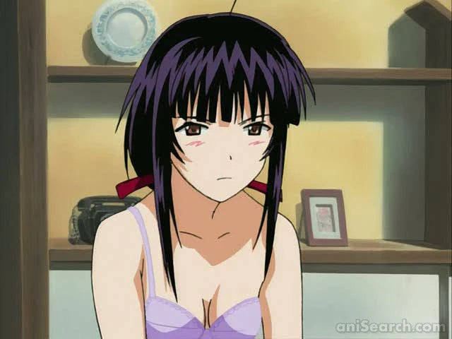 Love Hina ~Again~ DVD