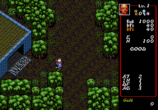 Dungeon Explorer - Sega CD