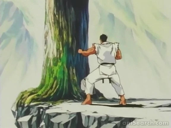 Street Fighter II V VHS