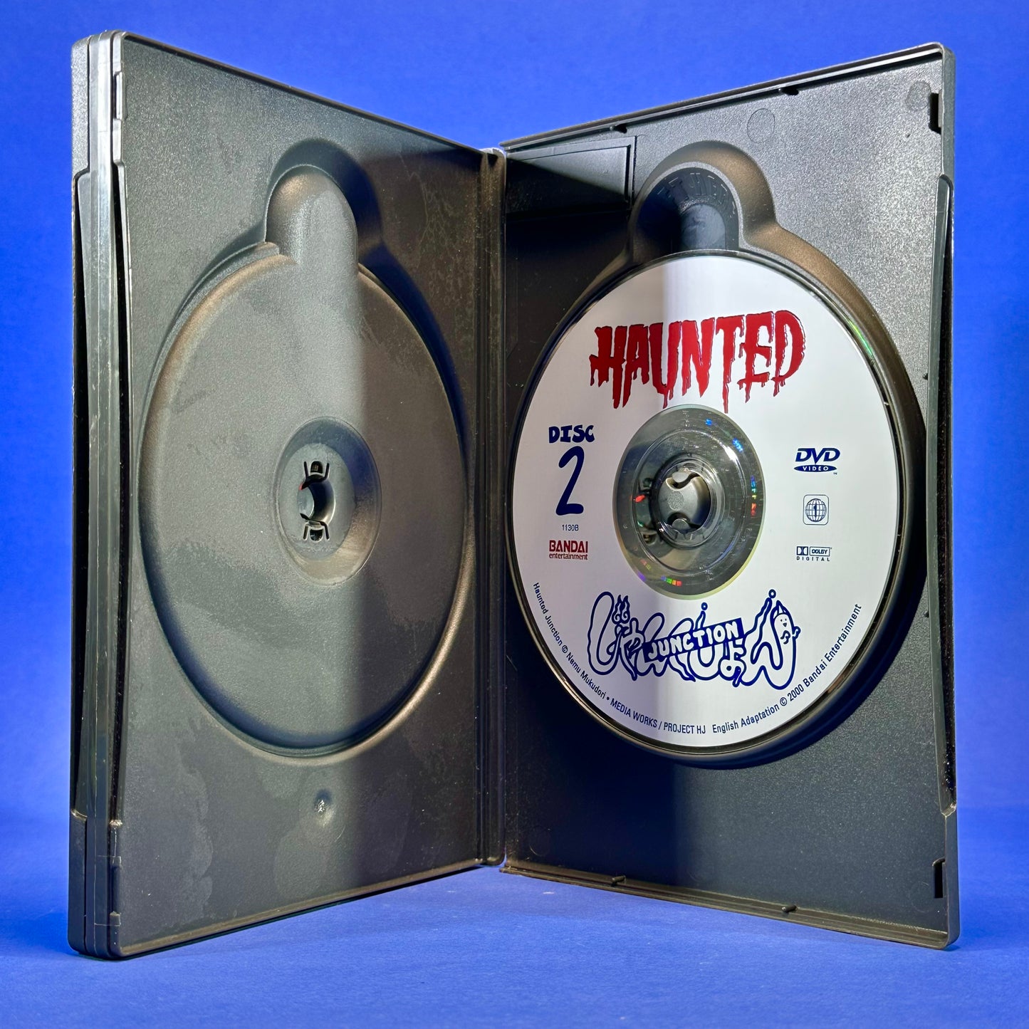 Haunted Junction DVD