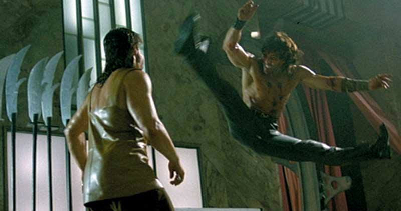 Fist of the Northstar (2008 Movie) DVD