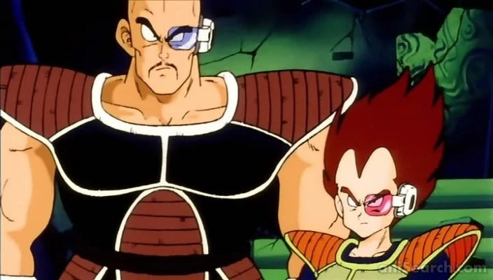 Dragon Ball Z ~The Saiyan Conflict~ DVD Boxset