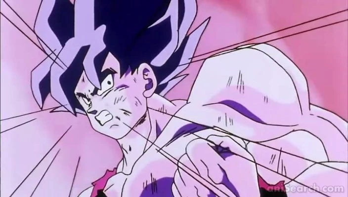 Dragon Ball Z ~The Saiyan Conflict~ DVD Boxset