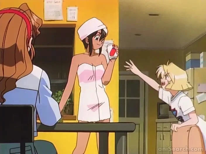 Gunsmith Cats VHS