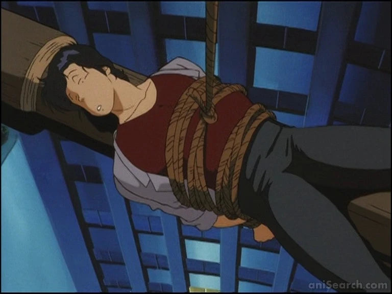 City Hunter: Secret Service DVD