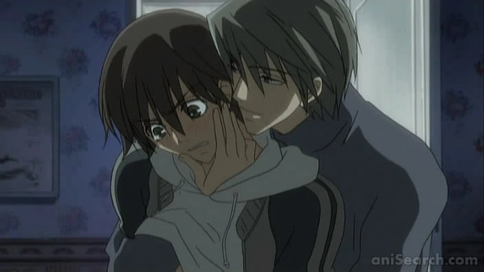 Junjo Romantica - Season One DVD