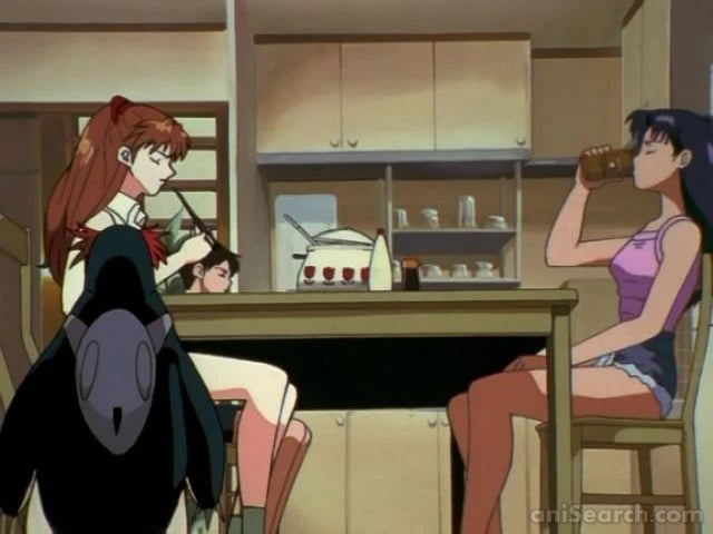 Neon Genesis Evangelion Perfect Collection DVD Box Set