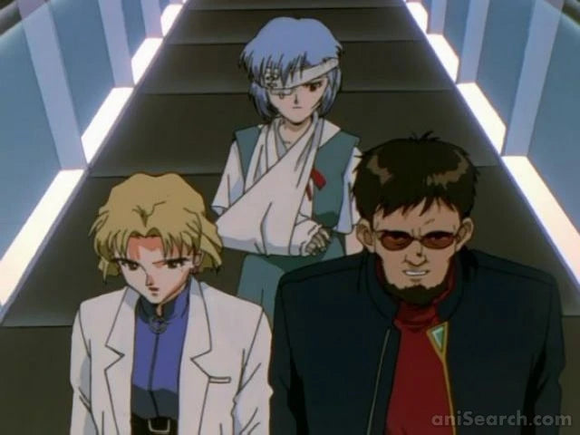 Neon Genesis Evangelion Perfect Collection DVD Box Set