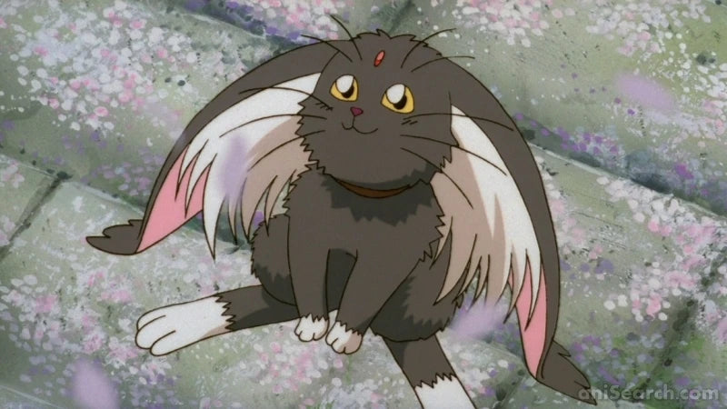 Tenchi the Movie: Tenchi Forever DVD