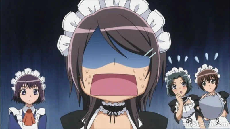Maid-Sama! - DVD