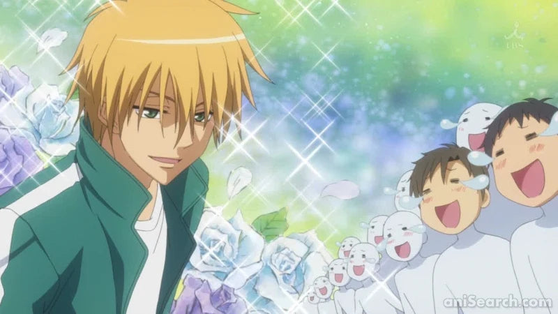 Maid-Sama! - DVD