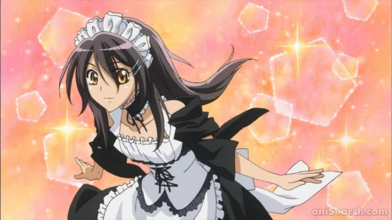 Maid-Sama! - DVD