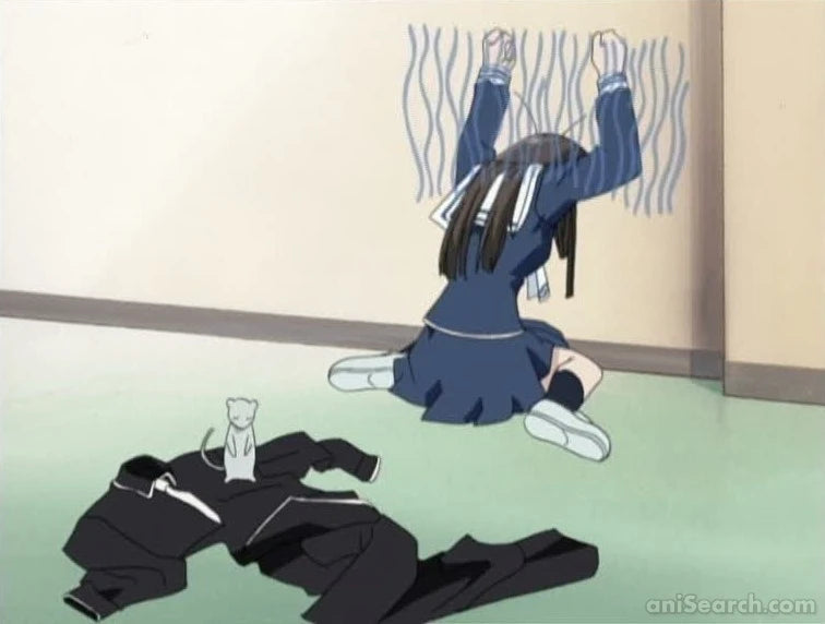 Fruits Basket (2001 TV Series) DVD