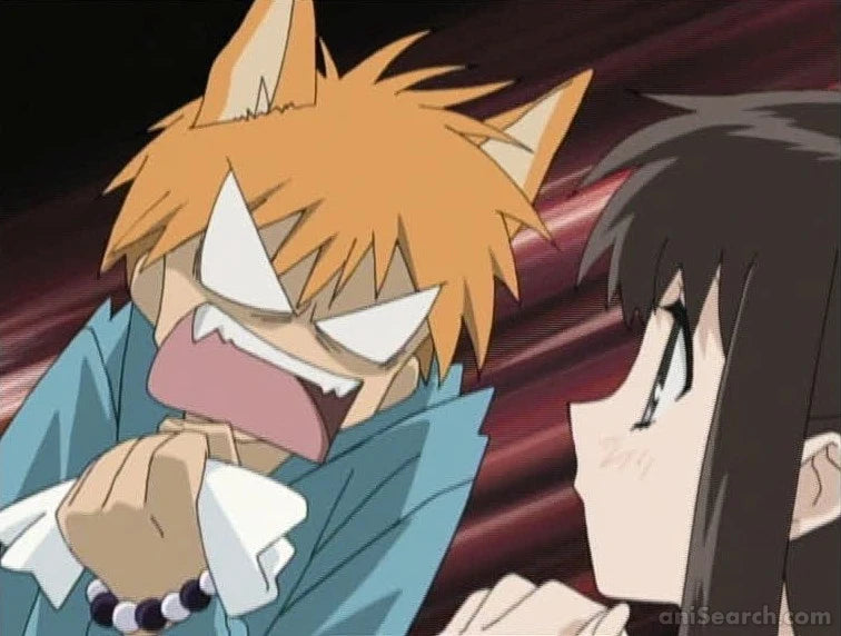 Fruits Basket (2001 TV Series) DVD