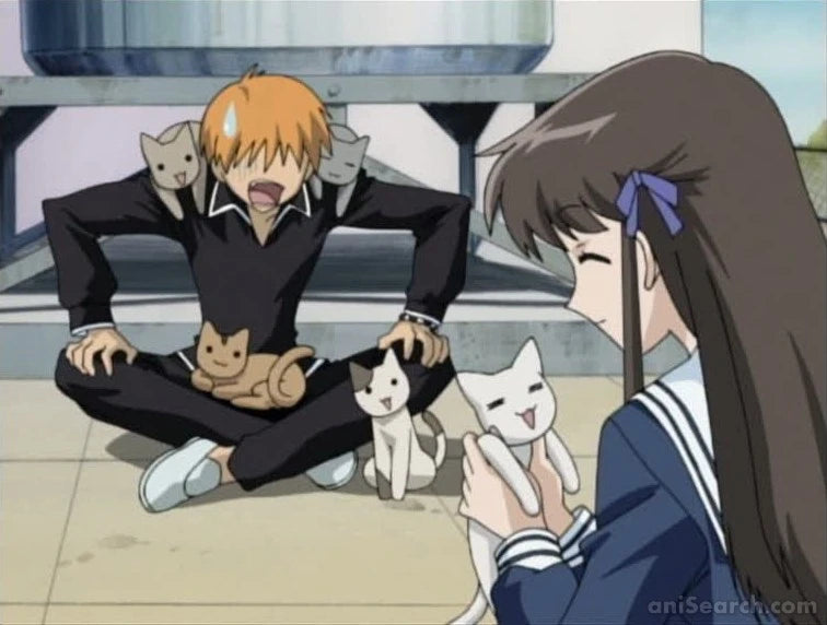 Fruits Basket (2001 TV Series) DVD