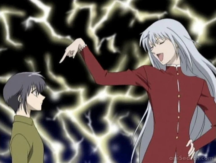 Fruits Basket (2001 TV Series) DVD