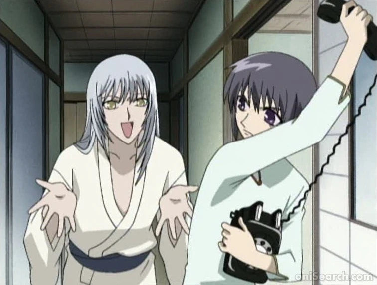 Fruits Basket (2001 TV Series) DVD